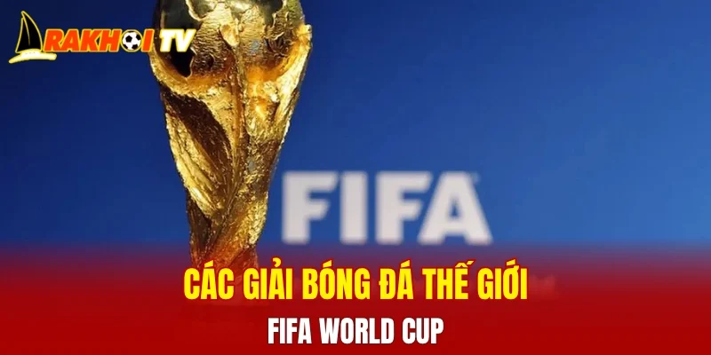 Các giải bóng đá thế giới - FIFA World Cup